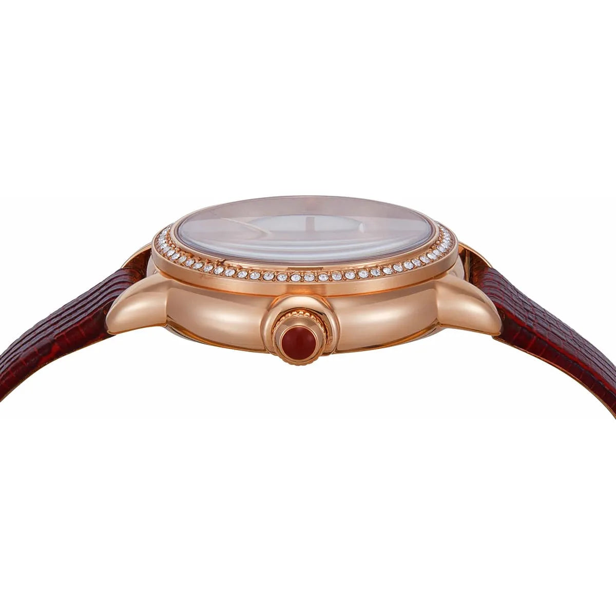 Emporio Armani Mia Snake Motif Dial Red Genuine Leather Women's Watch - AR11646