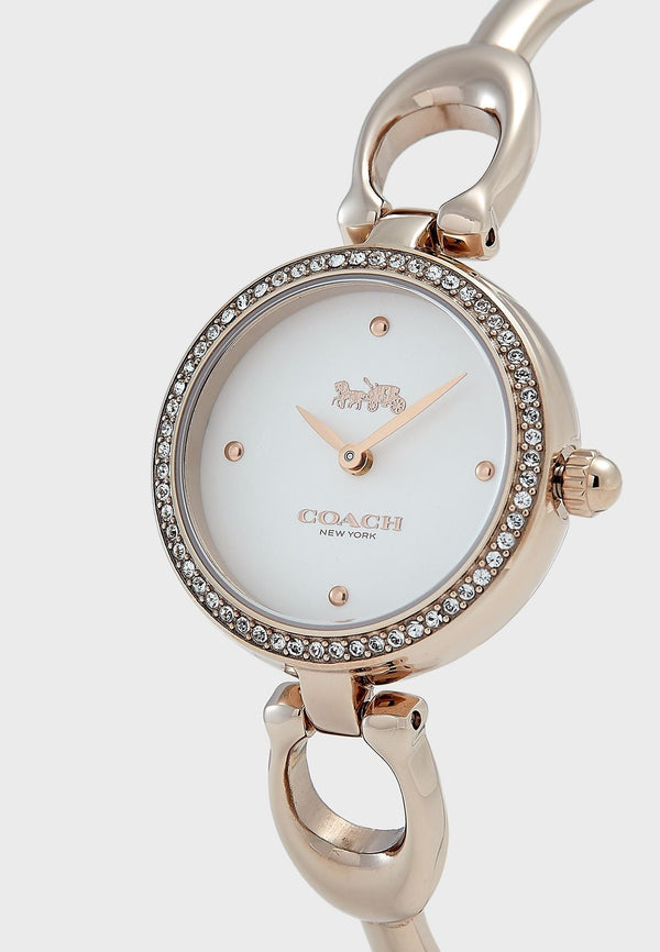 Coach Park Gold Women's Watch 14503447 - Big Daddy Watches #2