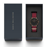 Daniel Wellington Roselyn 36mm Women's Gold Watch DW00100273