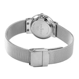 Skagen Ancher Steel Mesh Women Watch 358SSSBD