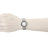 Skagen Classic Chrome Dial Mesh Ladies Watch 358SSSD
