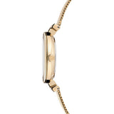 Ted Baker Darbeyb Darbey T Mesh Band Watch Women's Watch BKPDAF305 - Big Daddy Watches #3