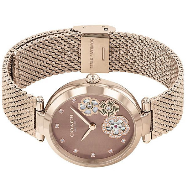 Coach Park Brown Dial Women's Watch 14503566 - Big Daddy Watches #2