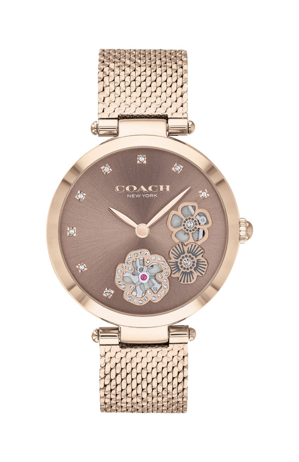 Coach Park Brown Dial Women's Watch  14503566 - Big Daddy Watches