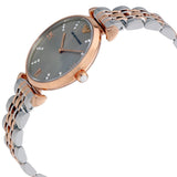 Emporio Armani Classic Grey Dial Ladies Watch AR1840