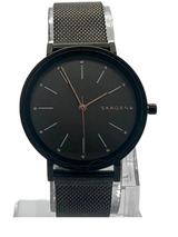 Skagen Hald Grey Dial Gunmetal PVD Ladies Watch SKW2507
