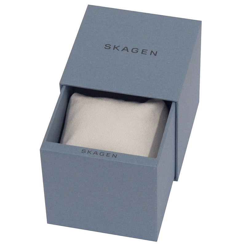 Skagen Rungsted Silver Dial Mesh Ladies Watch SKW2402