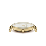 Daniel Wellington Petite Evergold Gold-tone 36mm Ladies Watch DW00100346