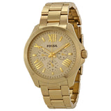 Fossil Cecile Multifunction Champagne Dial Ladies Watch AM4510