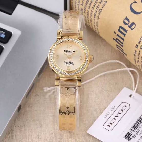 Coach Madison All Gold Diamond Ladies Watch 14502202