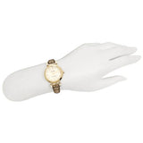 Coach 1941 Sport Crystal Gold Dial Leather Strap Ladies Watch 14502539