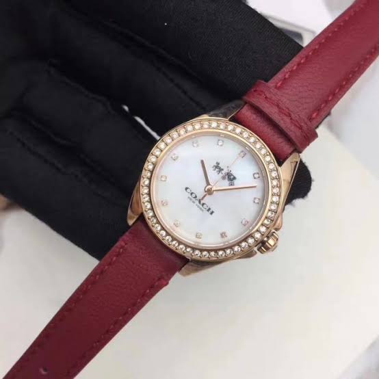 Coach Mother of Pearl Dial Red Leather Strap Ladies Watch 14502315