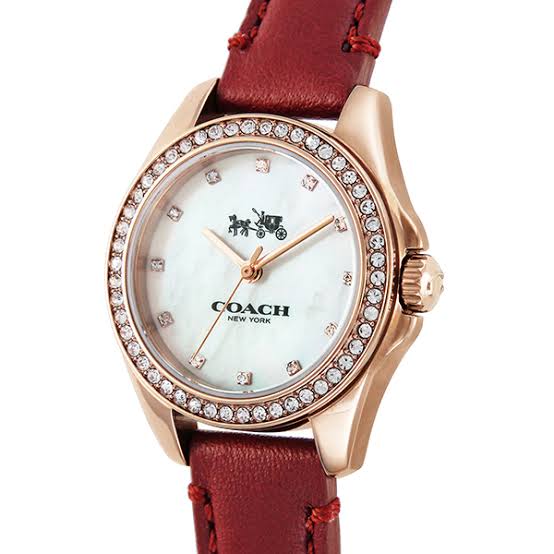 Coach Mother of Pearl Dial Red Leather Strap Ladies Watch 14502315