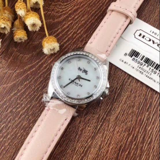 Coach Silver Dial Pink Leather Strap Ladies Watch 14502313