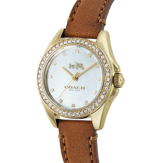 Coach Mother of Pearl Dial Leather Strap Ladies Watch 14502314