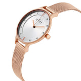 Skagen Anita Silver Dial Rose Gold Ladies Watch SKW2151