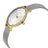 Skagen Anita Crystal Paved Gold Ladies Watch SKW2340
