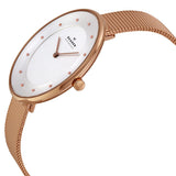 Skagen Gitte Silver Dial Rose Gold Ladies Watch SKW2142