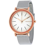 Skagen Hald Two-Tone Silver Ladies Watch SKW2506
