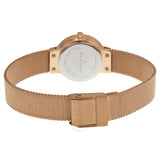 Skagen Leonora Brown Mother of Pearl Dial Ladies Watch 456SRR1