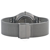 Skagen Gunmetal Dial Stainless Steel Mesh Men's Watch 233XLTTM